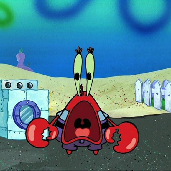 Meet your Posher, Isabella - Picture 1 of 1